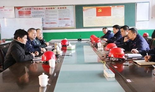張忠華到雙環(huán)公司現(xiàn)場調研(圖2)